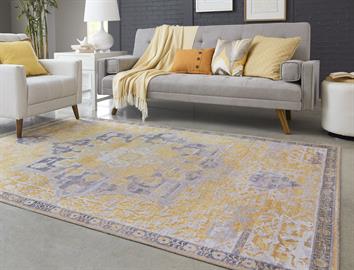 Renaissance Collection