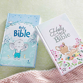 Baby Bibles