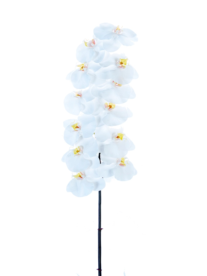 Real Touch Phalaenopsis Orchid