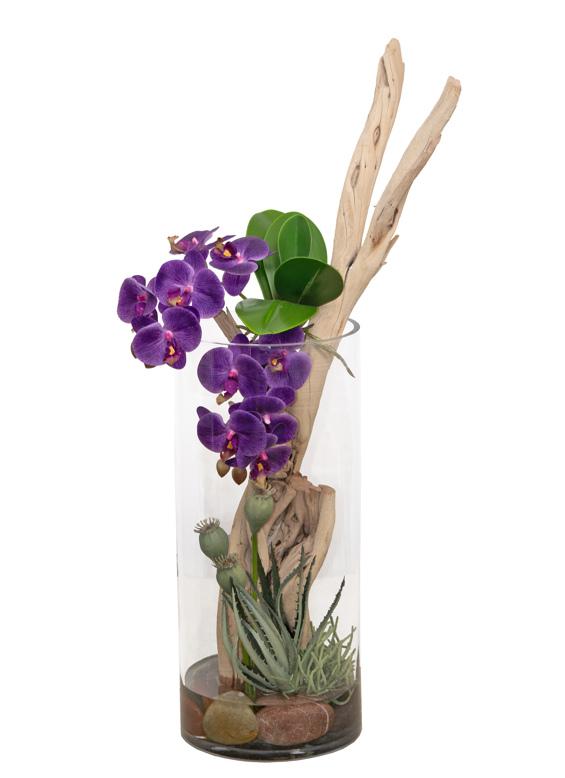 Purple orchid in a glass vase with dragon wood and succulents