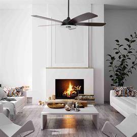 Smart Ceiling Fan