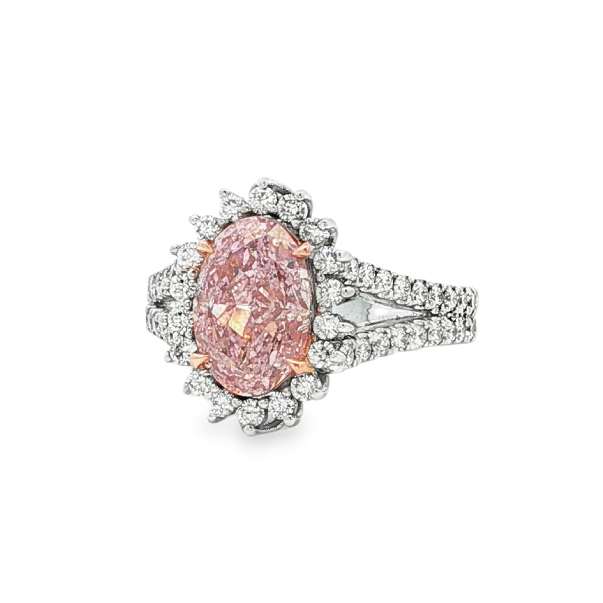 Indulge in the captivating allure of this white gold engagement ring, showcasing a stunning oval-cut diamond. 