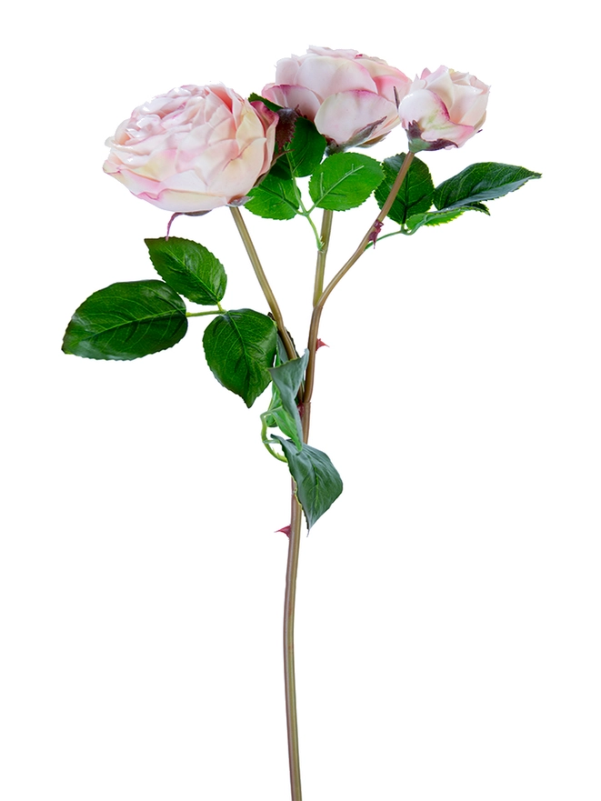 Fresh Touch Cabbage Rose Spray| Premium, Ultra-Realistic Luxury Quality