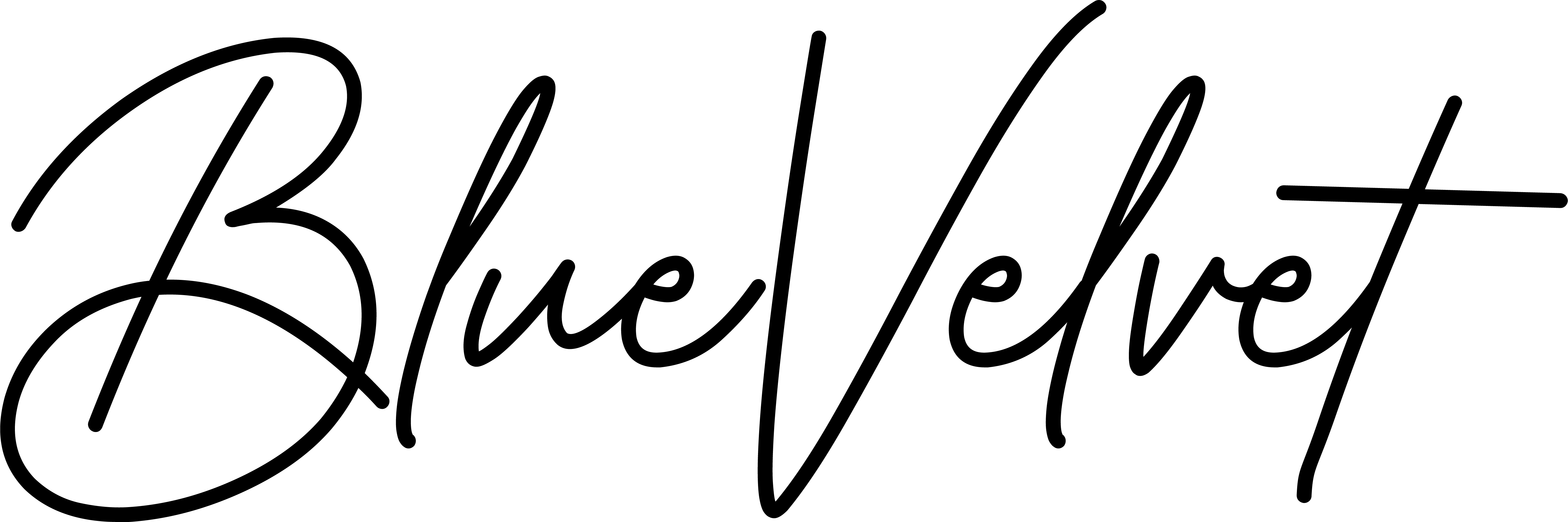 BLUEVELVET logo