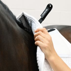 New shape, mesh spine band, and d-ring tabs!