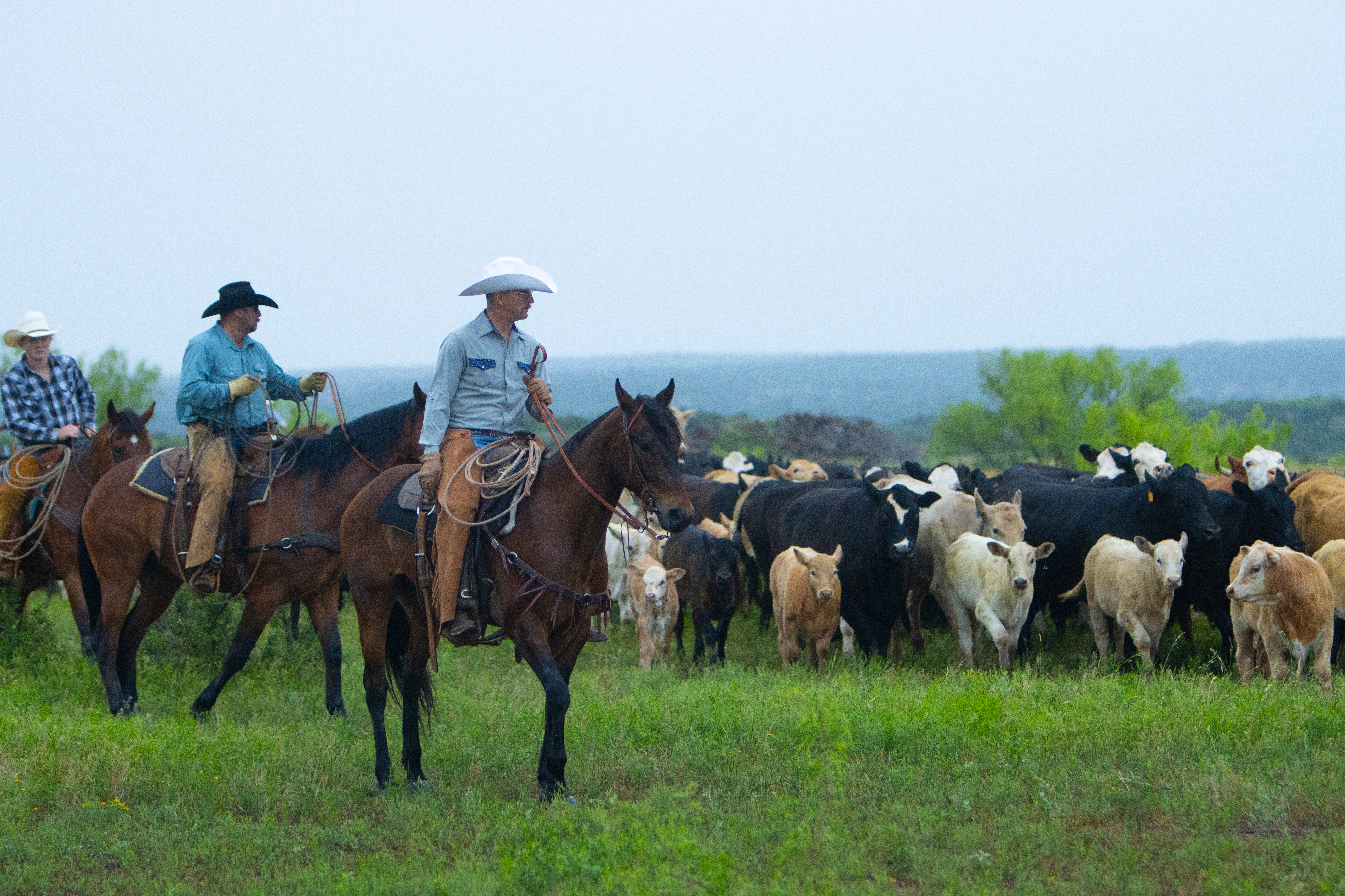 Cowboy Tack: The Western Soul. Steeped in American heritage and tradition. Engineered in our owned facilities to preserve the spirit of the West for the modern working rider. Authenticity in every sti