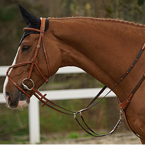 Menetics Breastplate on model