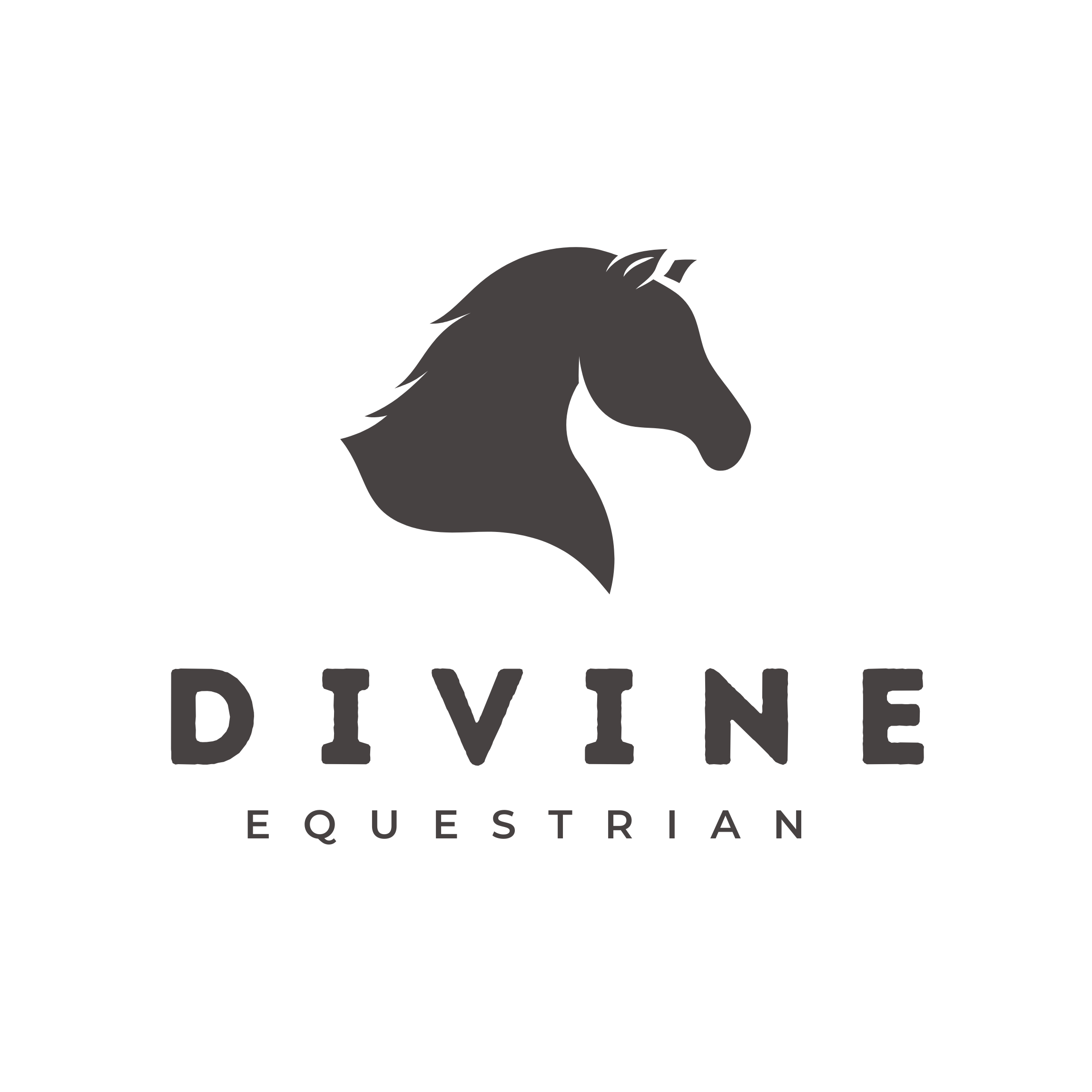 Divine Equestrian, LLC logo
