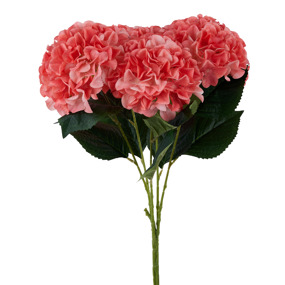 Variety of Different Styles and Colors