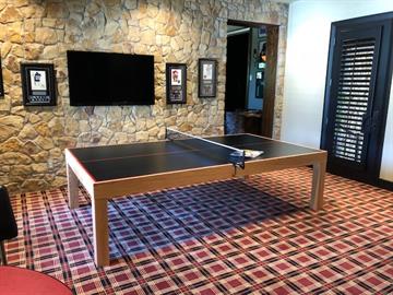 Custom Table Tennis