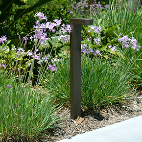 LED Path Lighting 12V | 120V