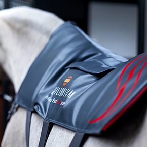 Equilibrium Therapy Heatsense Massage Pad on horse