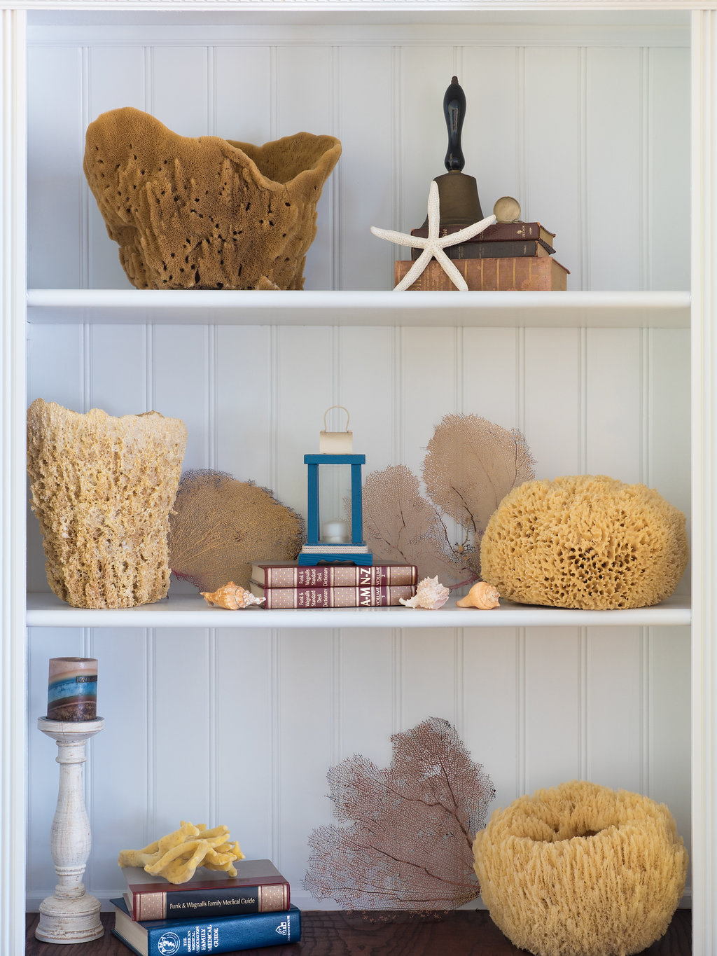 display sponges