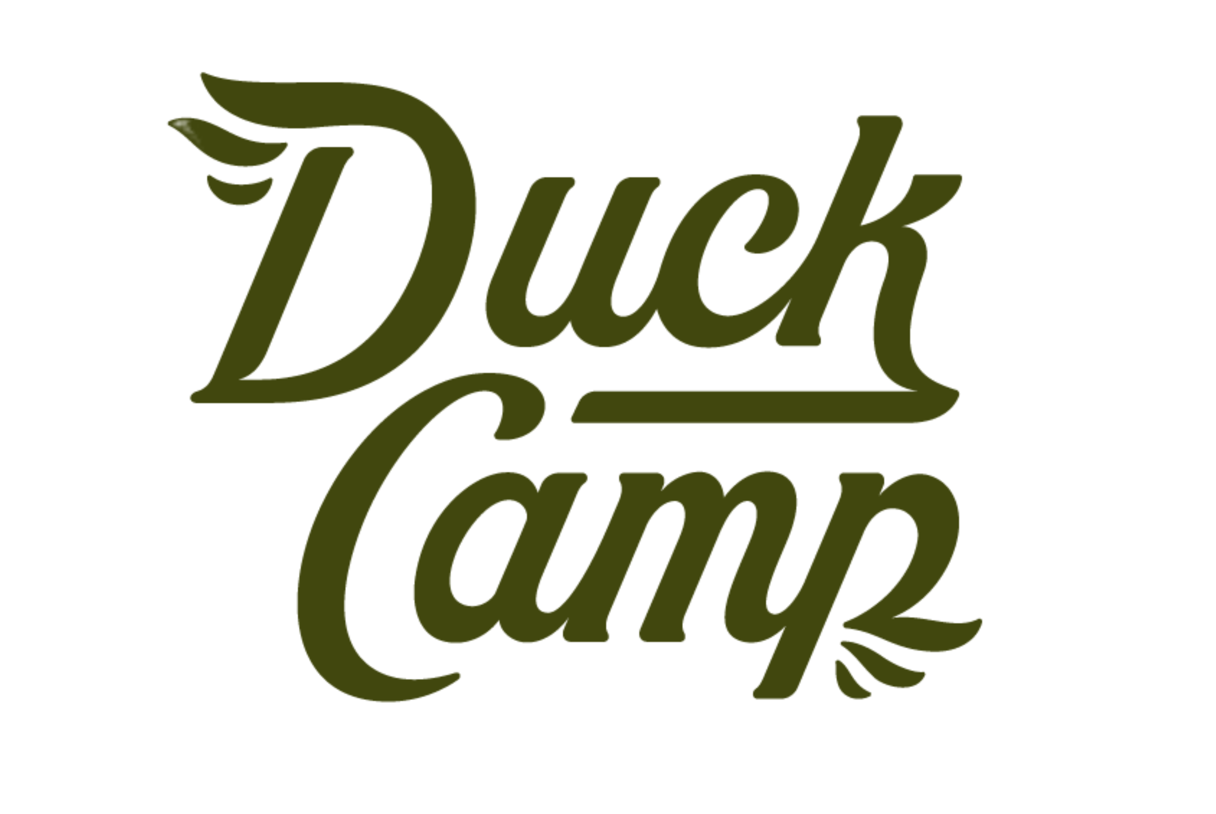 Duck Camp logo