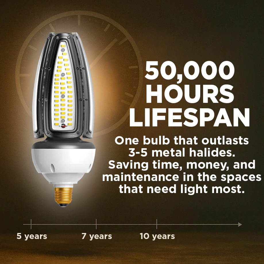 High Wattage Multi Volt LED