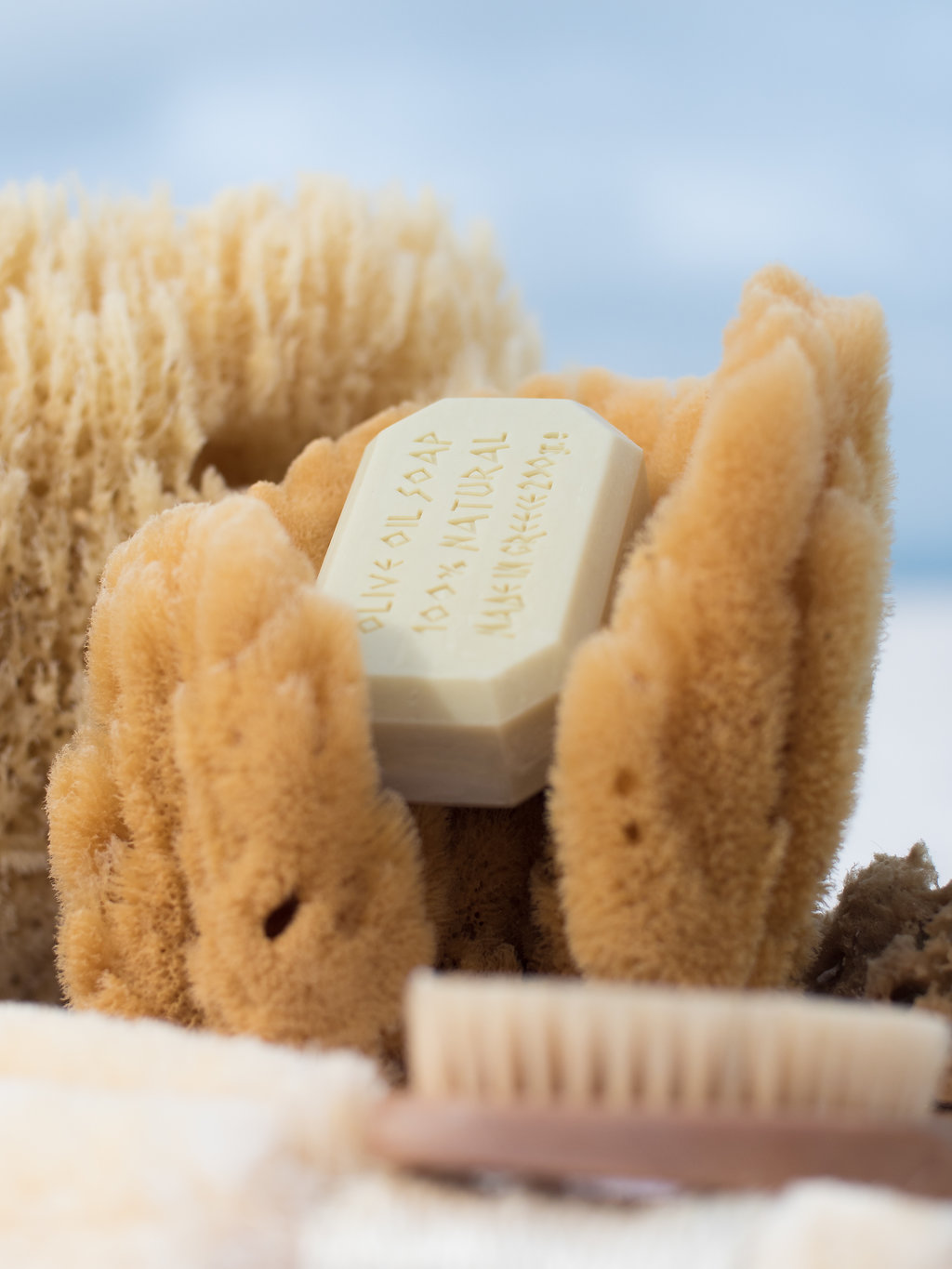 Vase Sponge and Soap