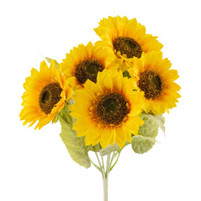 Variety of colors and styles to choose from