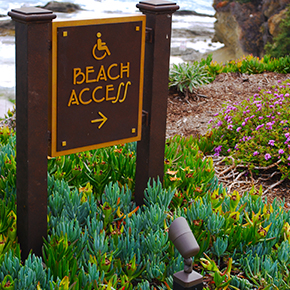 12V | 120V Plug n Play Directional Lighting