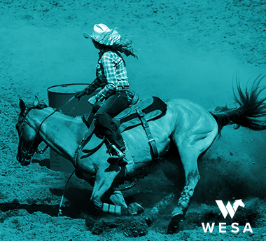 WESA’s International Western/English Apparel & Equipment Market