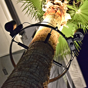 FATR 12V | 120V Lighting