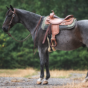 E.A.Mattes Western Square Pad on model