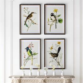 Summer Bird Framed Prints, 4 Assorted Styles
