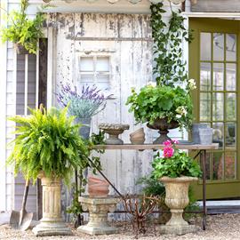 Country French Garden