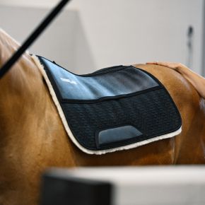 Brown, Black, or Natural. 30x30 or 32x32. With or Without mesh spine band