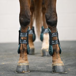 Available in 8 different colors. Large or XL. Front and Hinds.