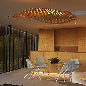 Navicula is a large-scale sculptural pendant inspired by microscopic forms. Made from sustainable bamboo, it casts intricate shadows and brings organic elegance to any space.