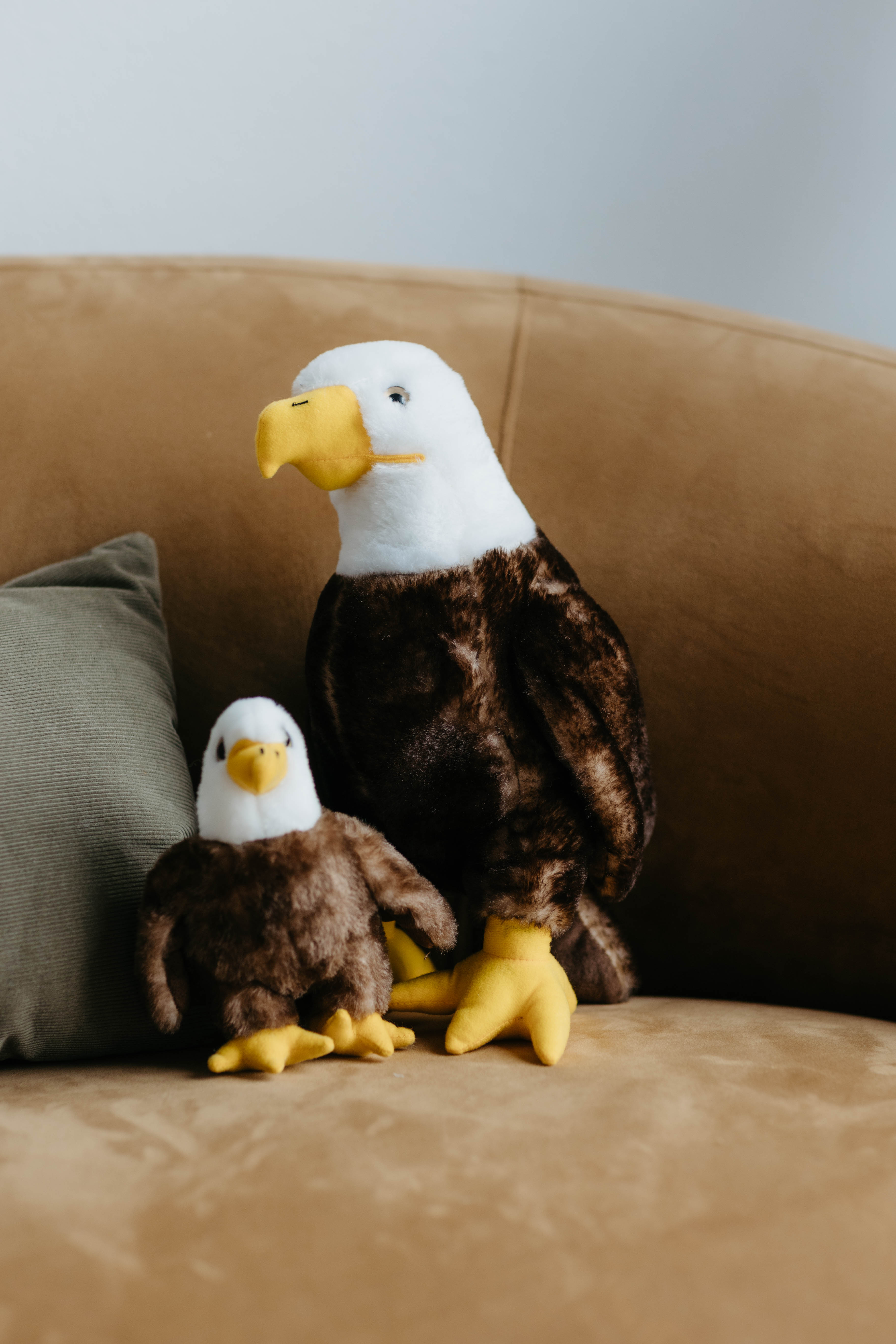 Earth Keeperz Bald Eagle MD 12" (30cm)