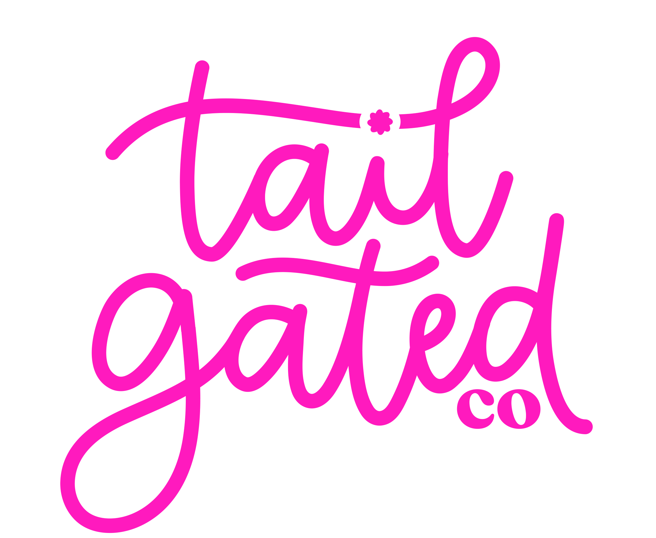Tailgated Co. logo