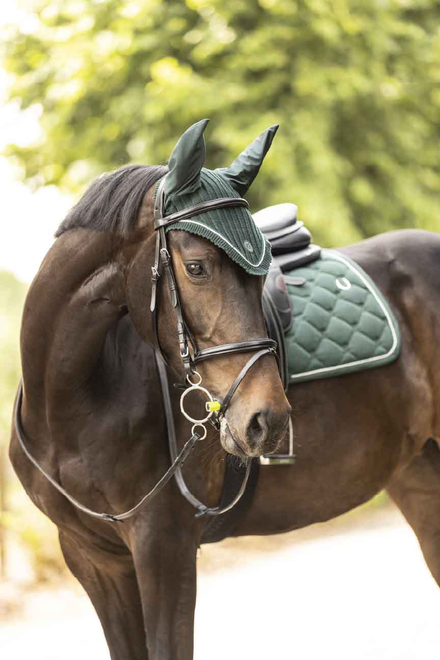 LamLami-Cell | Performance Refined.  Technical excellence from our owned facilities. Bridging modern innovation and classic elegance to bring professional-standard protection to every rider.