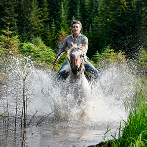 Wintec: The world’s favorite easy-care saddles. Delivering innovative performance and effortless maintenance for horse and rider. The global standard for reliable, high-quality equestrian gear.